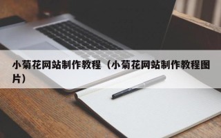 桐城小菊花网站制作教程（小菊花网站制作教程图片）